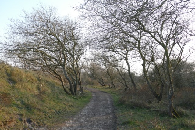2020-03-27 06 Egmond Binnen