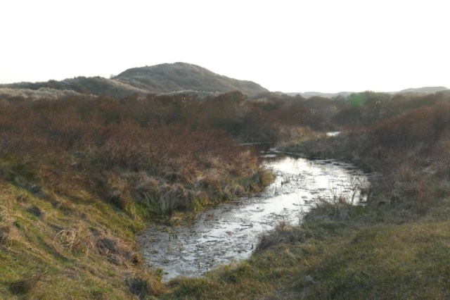 2020-03-27 07 Egmond Binnen