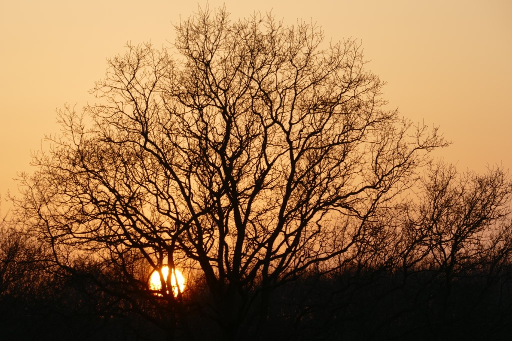2020-03-27 10 Egmond Binnen