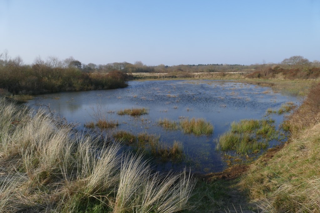 2020-03-28 01 Egmond Binnen
