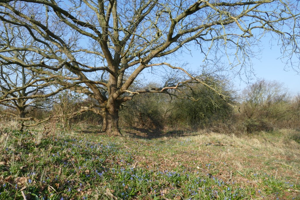 2020-03-28 03 Egmond Binnen