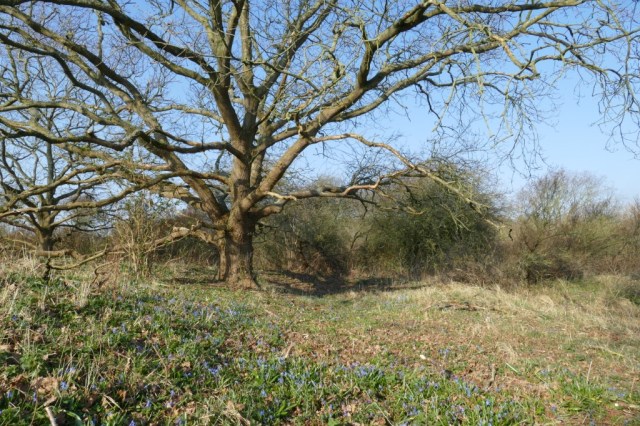 2020-03-28 03 Egmond Binnen