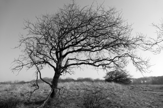 2020-03-28 04 Egmond Binnen
