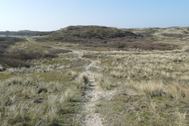 2020-03-28 06 Egmond Binnen