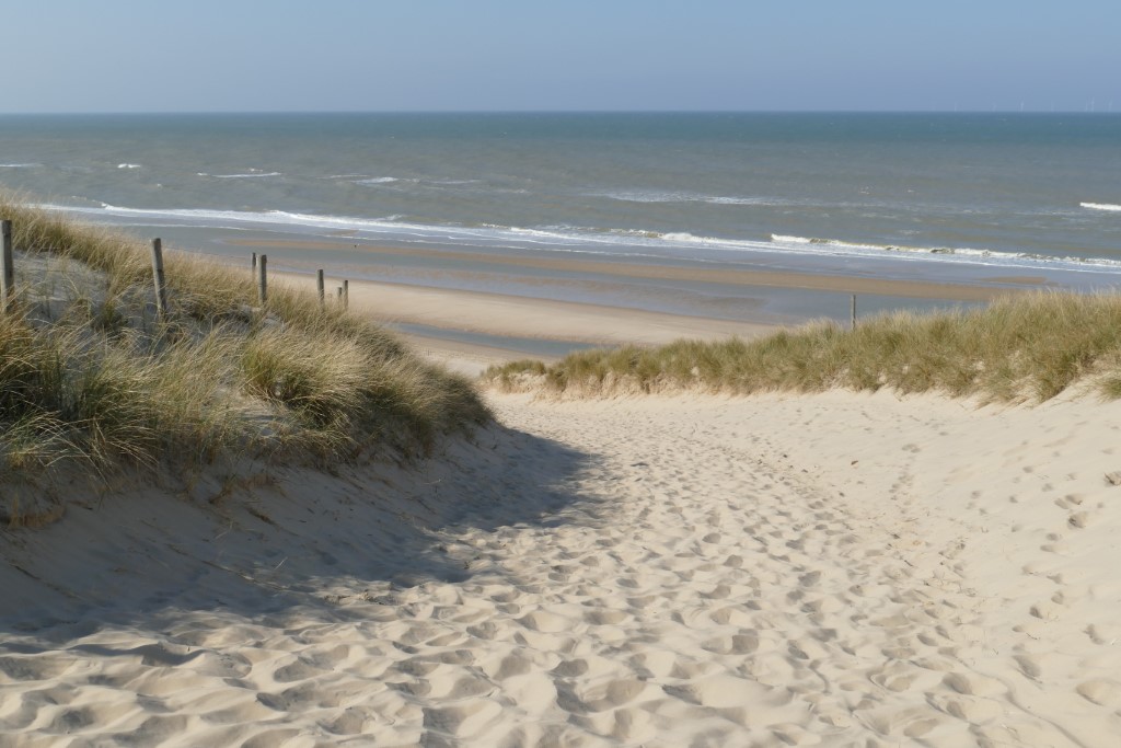 2020-03-28 07 Egmond Binnen