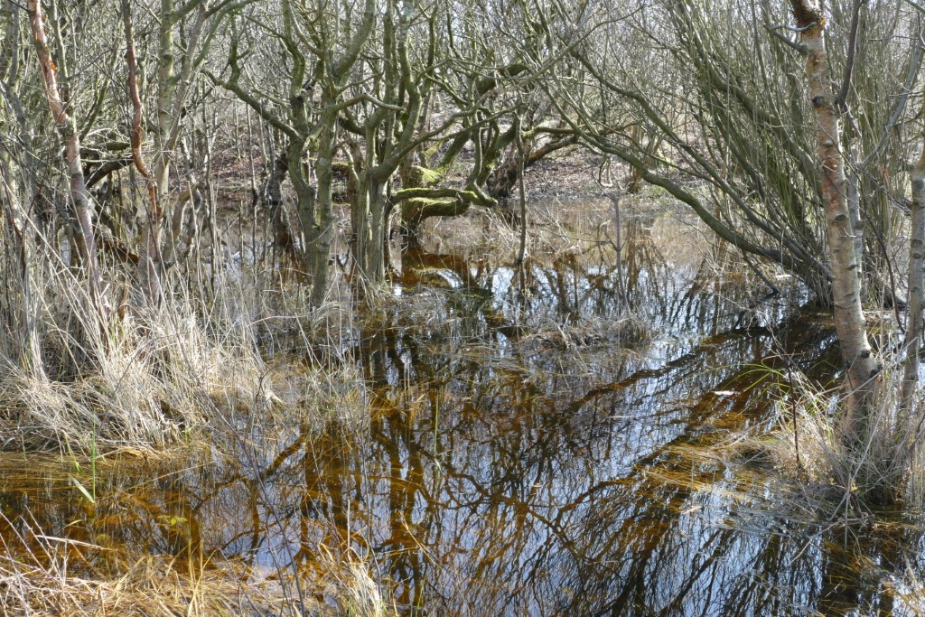 2020-03-28 08 Egmond Binnen