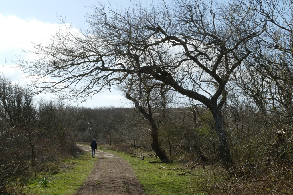 2020-03-28 09 Egmond Binnen