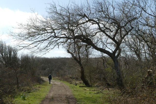 2020-03-28 09 Egmond Binnen