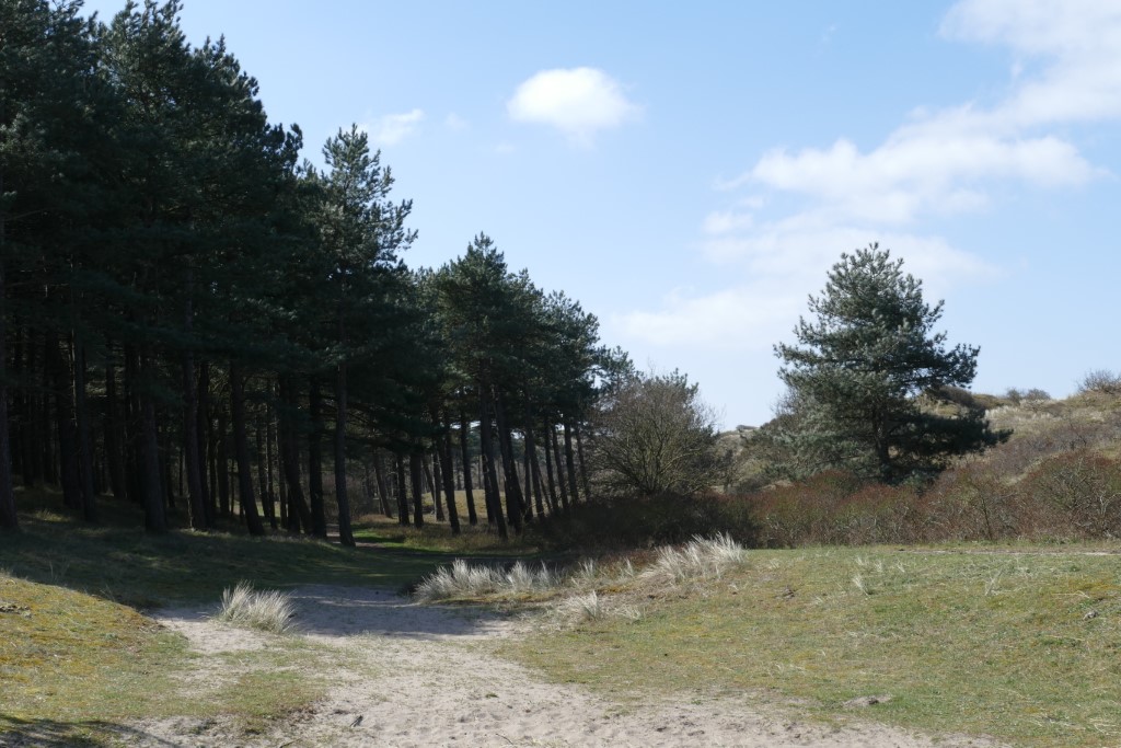 2020-03-28 10 Egmond Binnen