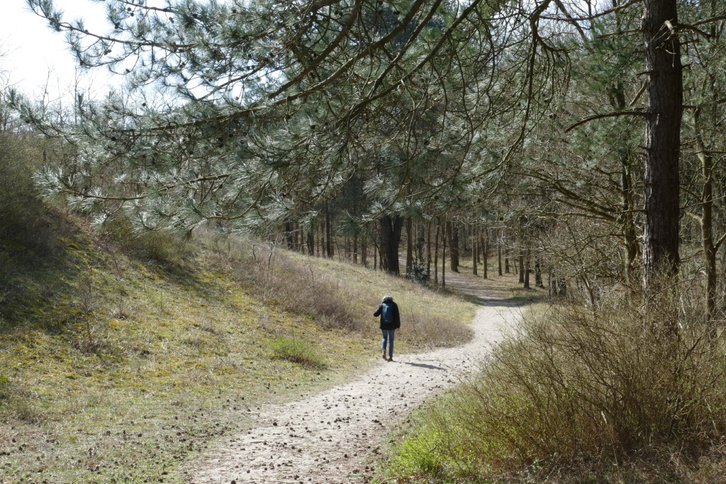 2020-03-28 12 Egmond Binnen