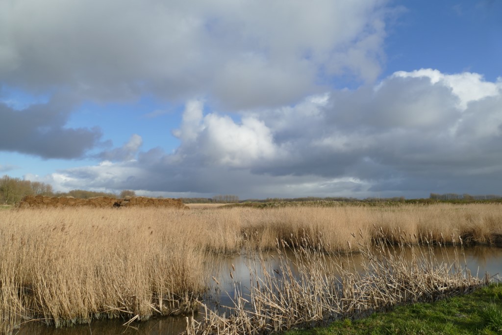 2020-03-30 01 Geestmermambacht