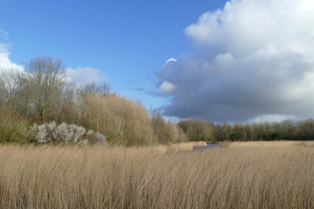 2020-03-30 03 Geestmermambacht