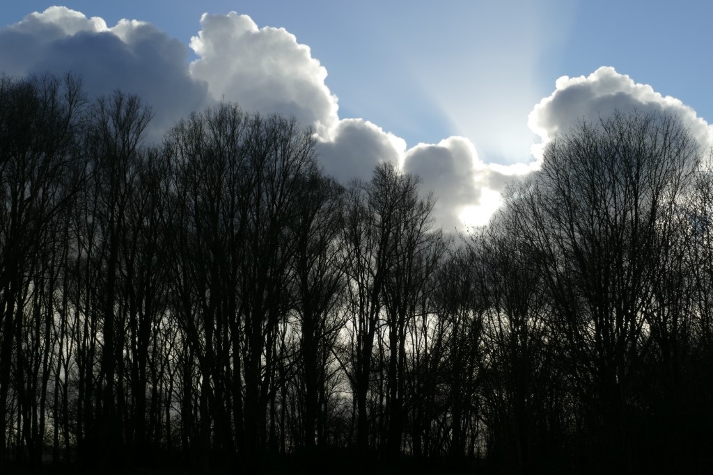 2020-03-30 06 Geestmermambacht