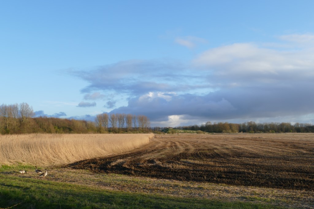 2020-03-30 08 Geestmermambacht