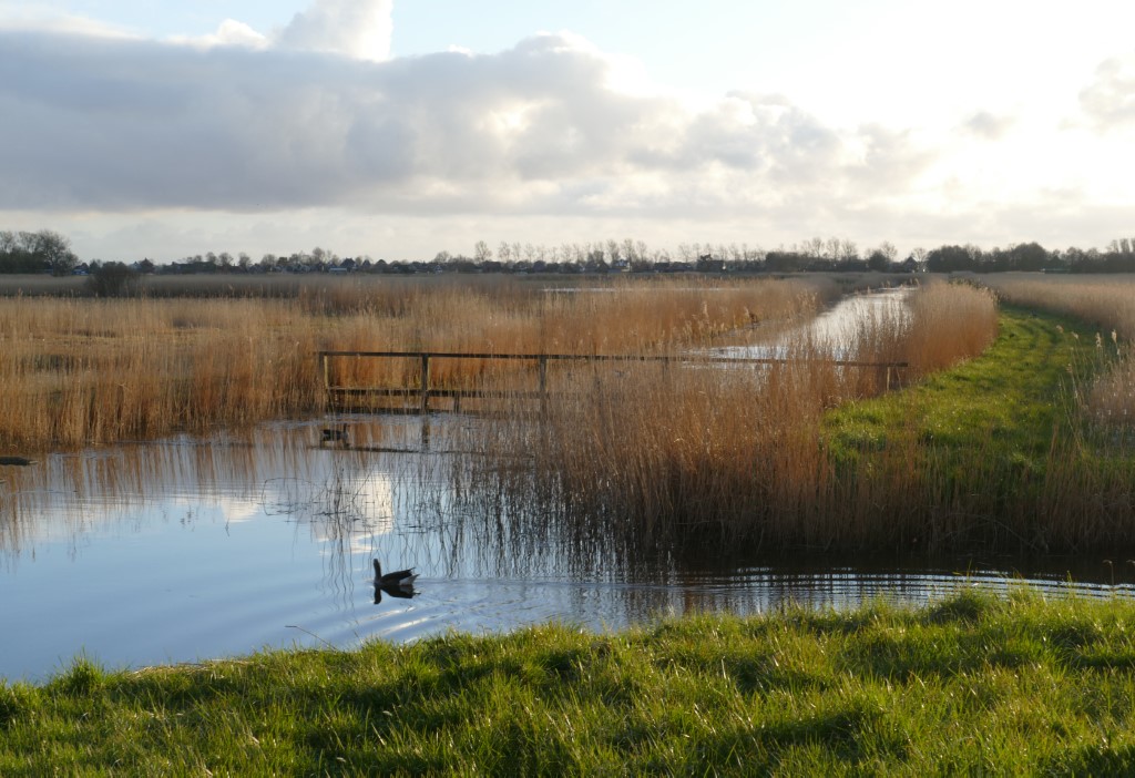 2020-03-30 09 Geestmermambacht