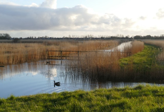 2020-03-30 09 Geestmermambacht