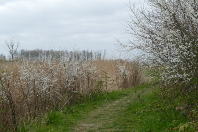 2020-04-02 09 Geestmerambacht