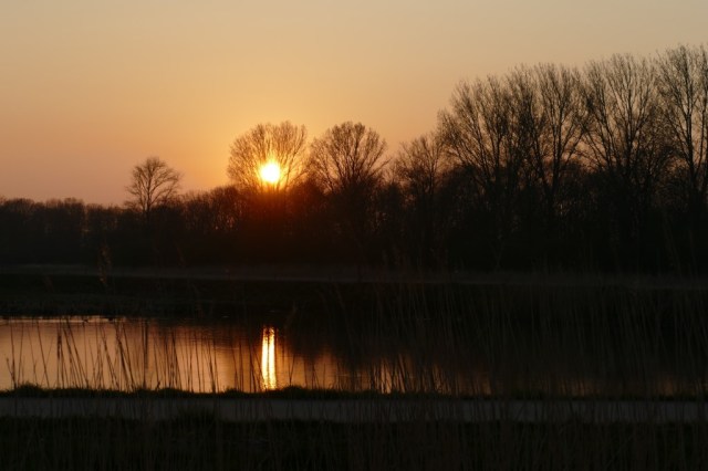 2020-04-08 11 Kleimeer