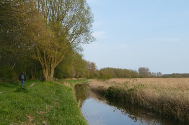 2020-04-10 03 Kleimeer