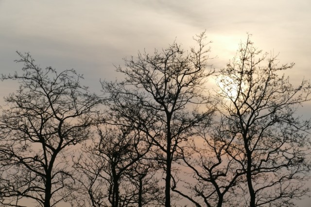 2020-04-10 04 Kleimeer