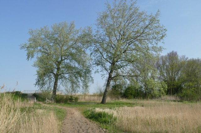 2020-04-12 01 Kleimeer