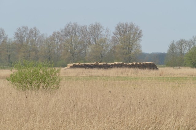 2020-04-12 09 Kleimeer