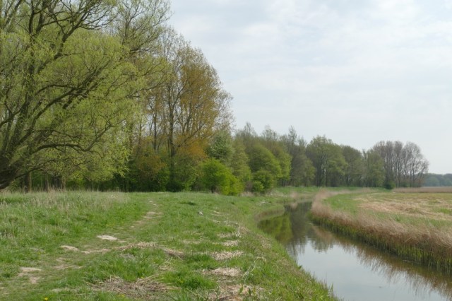 2020-04-12 10 Kleimeer