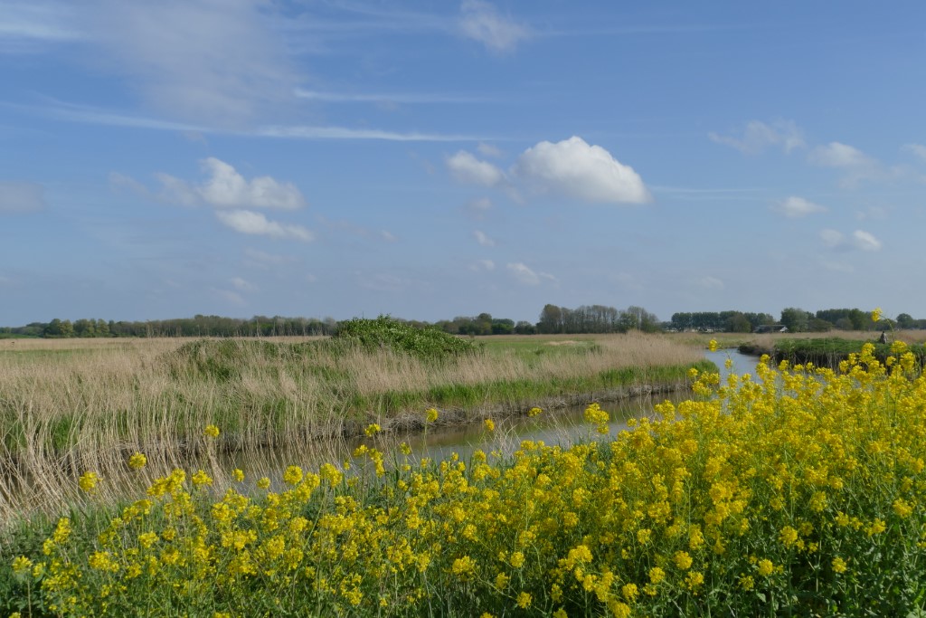2020-04-29 05 Kleimeer