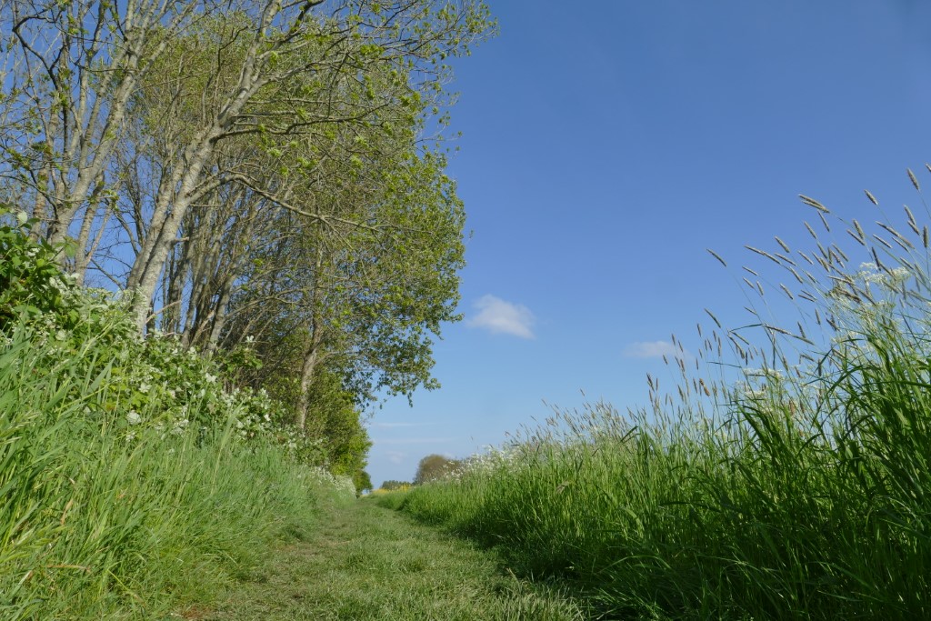 2020-04-29 07 Kleimeer