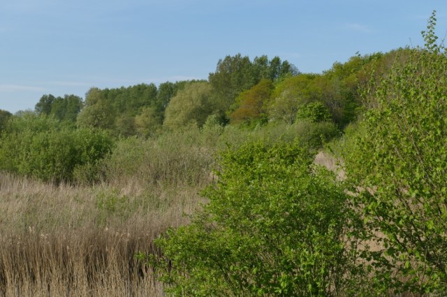 2020-04-29 08 Kleimeer