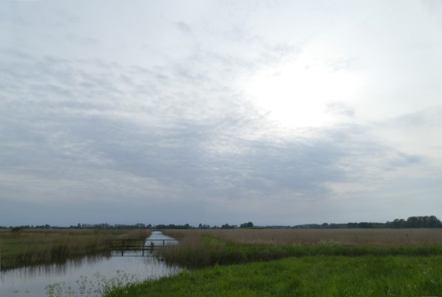 2020-04-29 11 Kleimeer