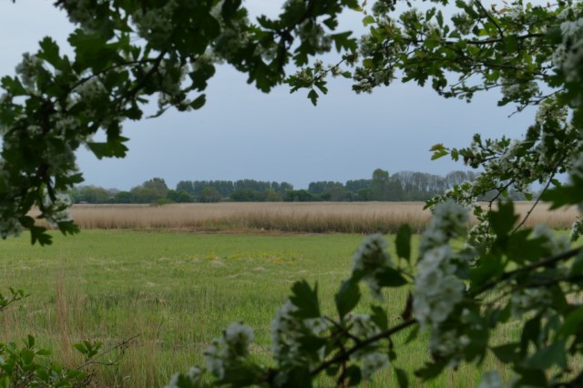 2020-04-29 12 Kleimeer