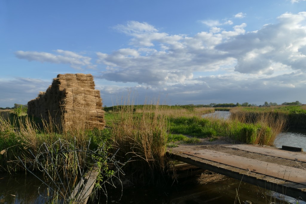 2020-04-30 06 Kleimeer