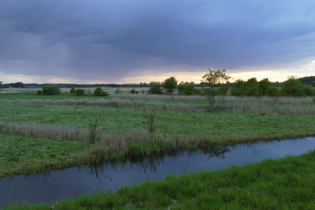 2020-04-30 10 Kleimeer