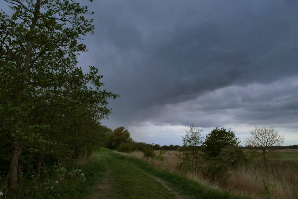 2020-04-30 11 Kleimeer