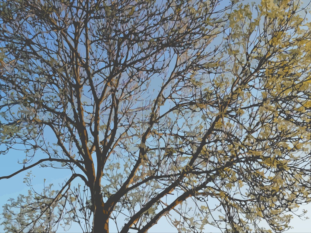 2020-05-04 04 Dodenherdenking Dam