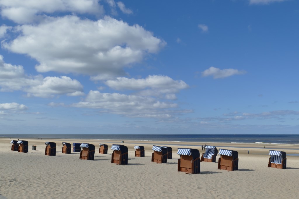 2020-05-05 10 Westert