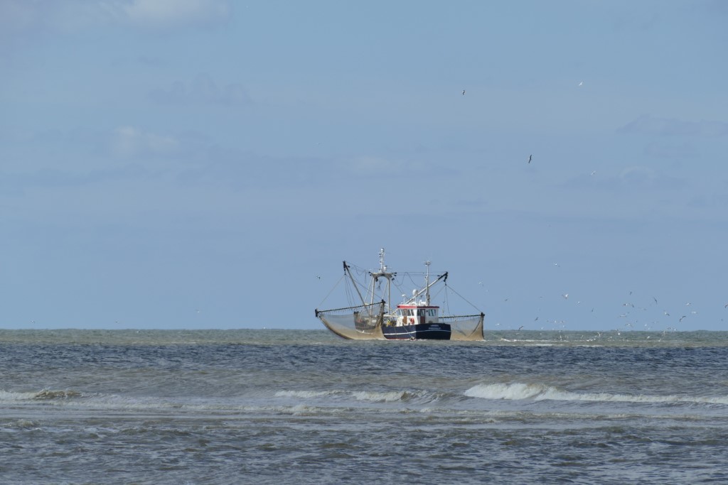 2020-05-05 12 Westert