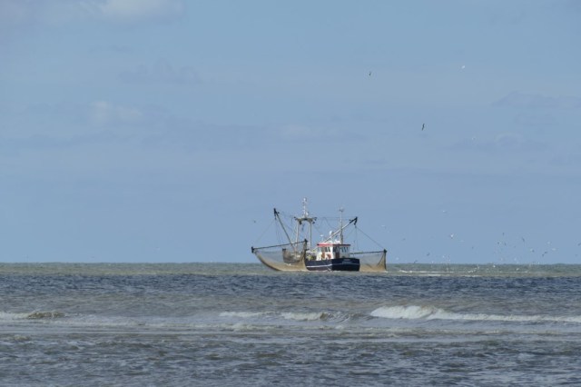 2020-05-05 12 Westert
